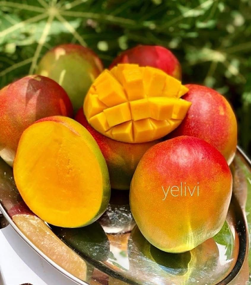 PHOTO-2025-03-08-16-05-03