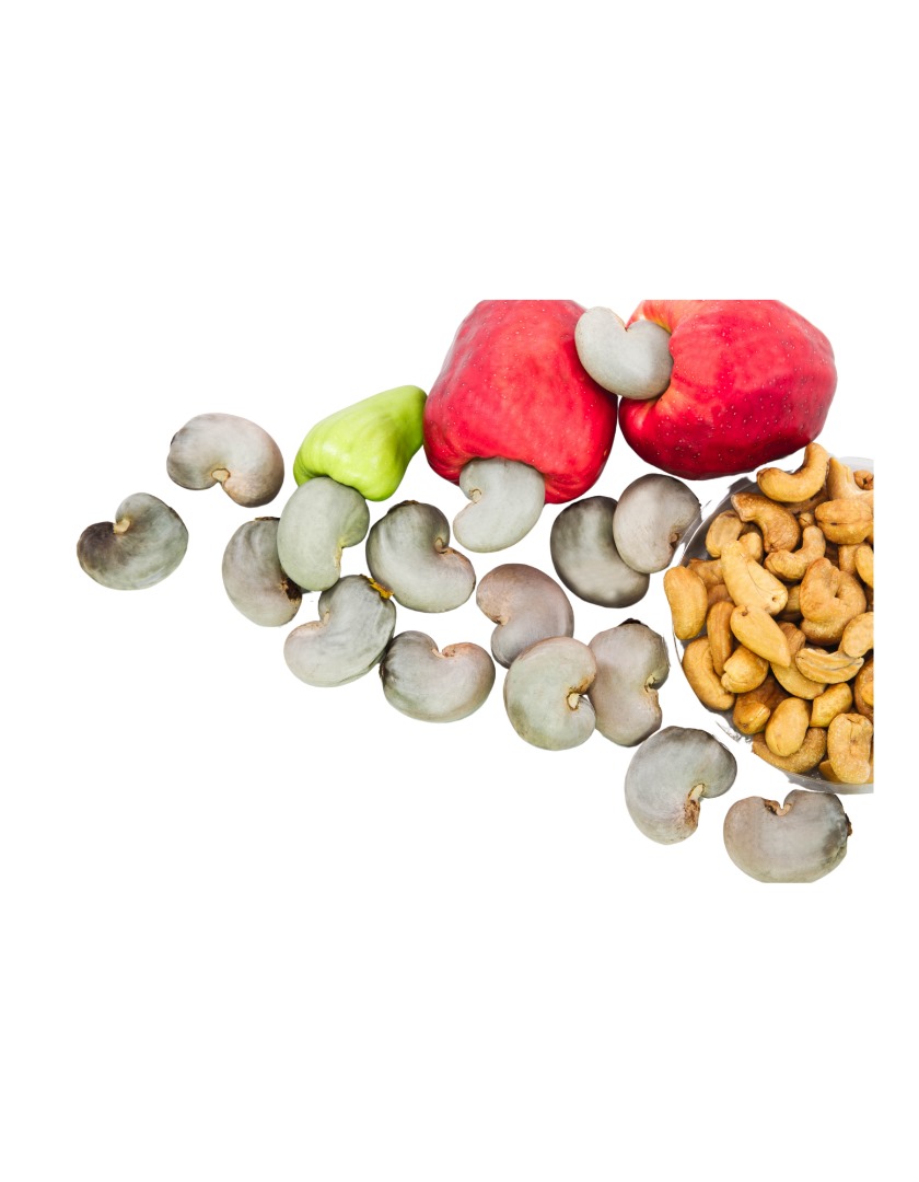 PHOTO-2025-03-22-13-10-29 2