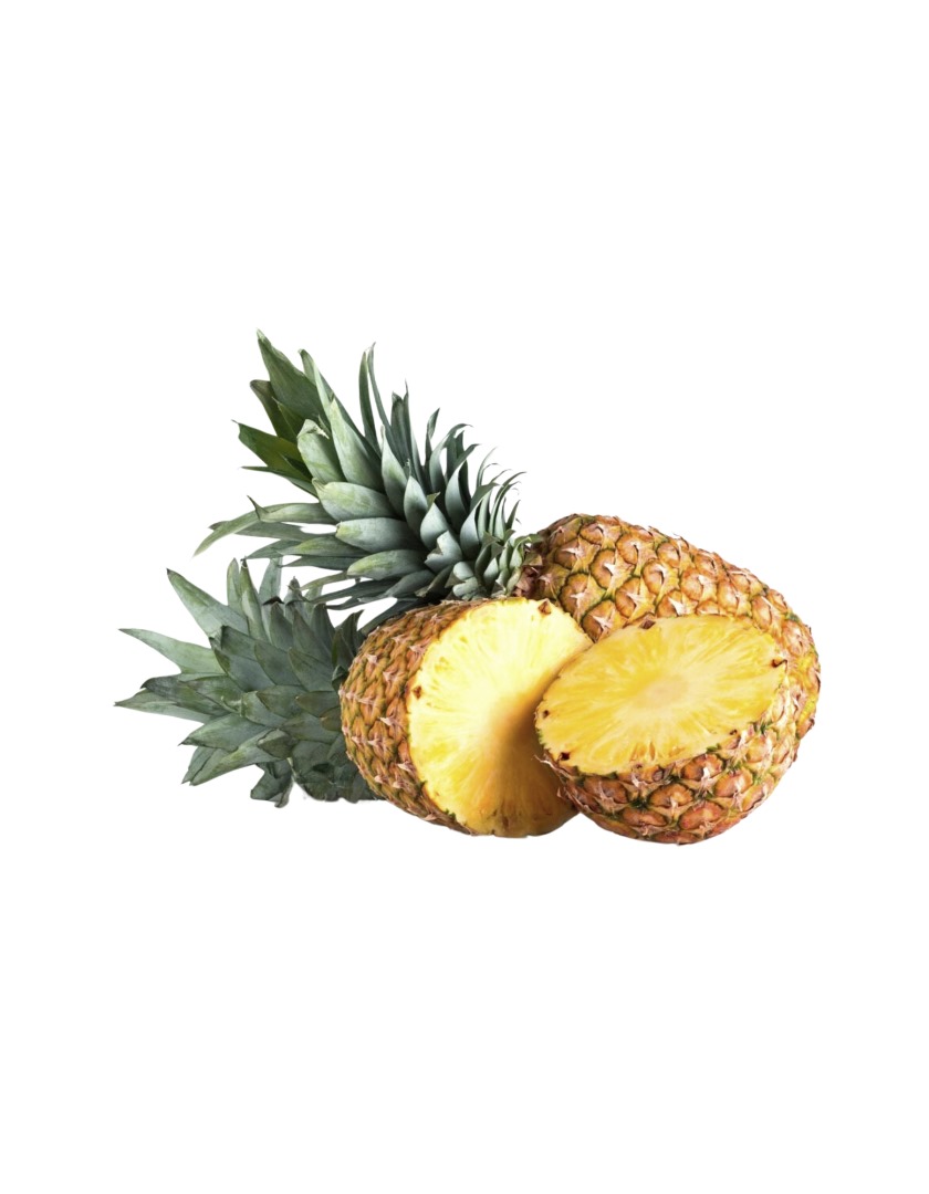 PHOTO-2025-03-22-13-10-26 4