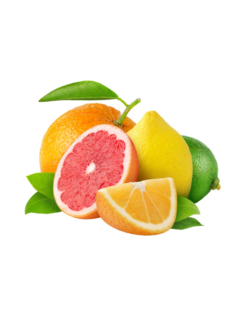 PHOTO-2025-03-31-13-31-05 2