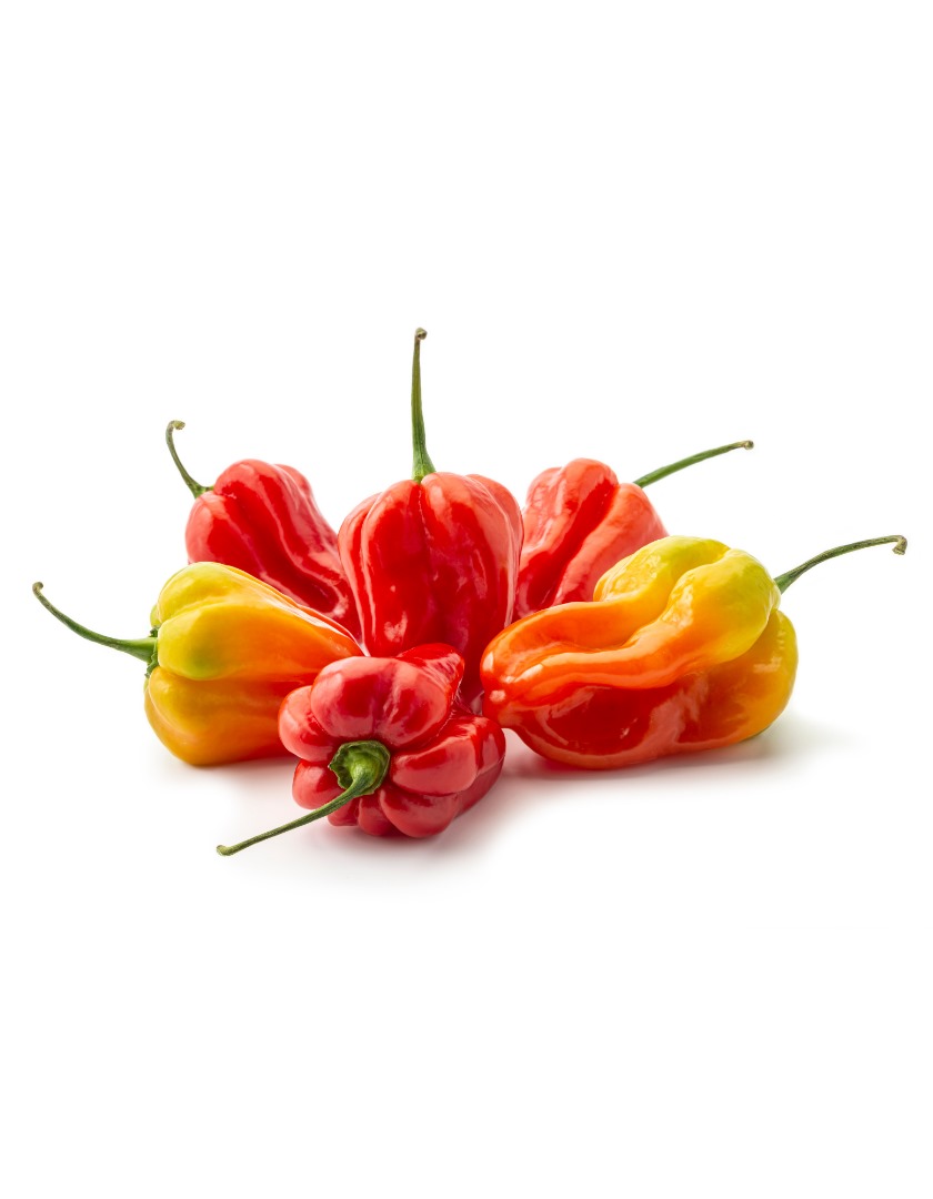 PHOTO-2025-03-31-13-31-05