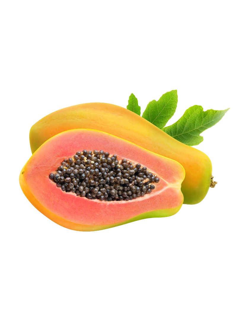 PHOTO-2025-03-31-13-31-06 2